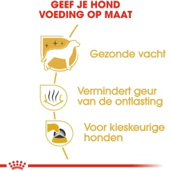 Royal Canin Maltese Adult - Hondenvoer