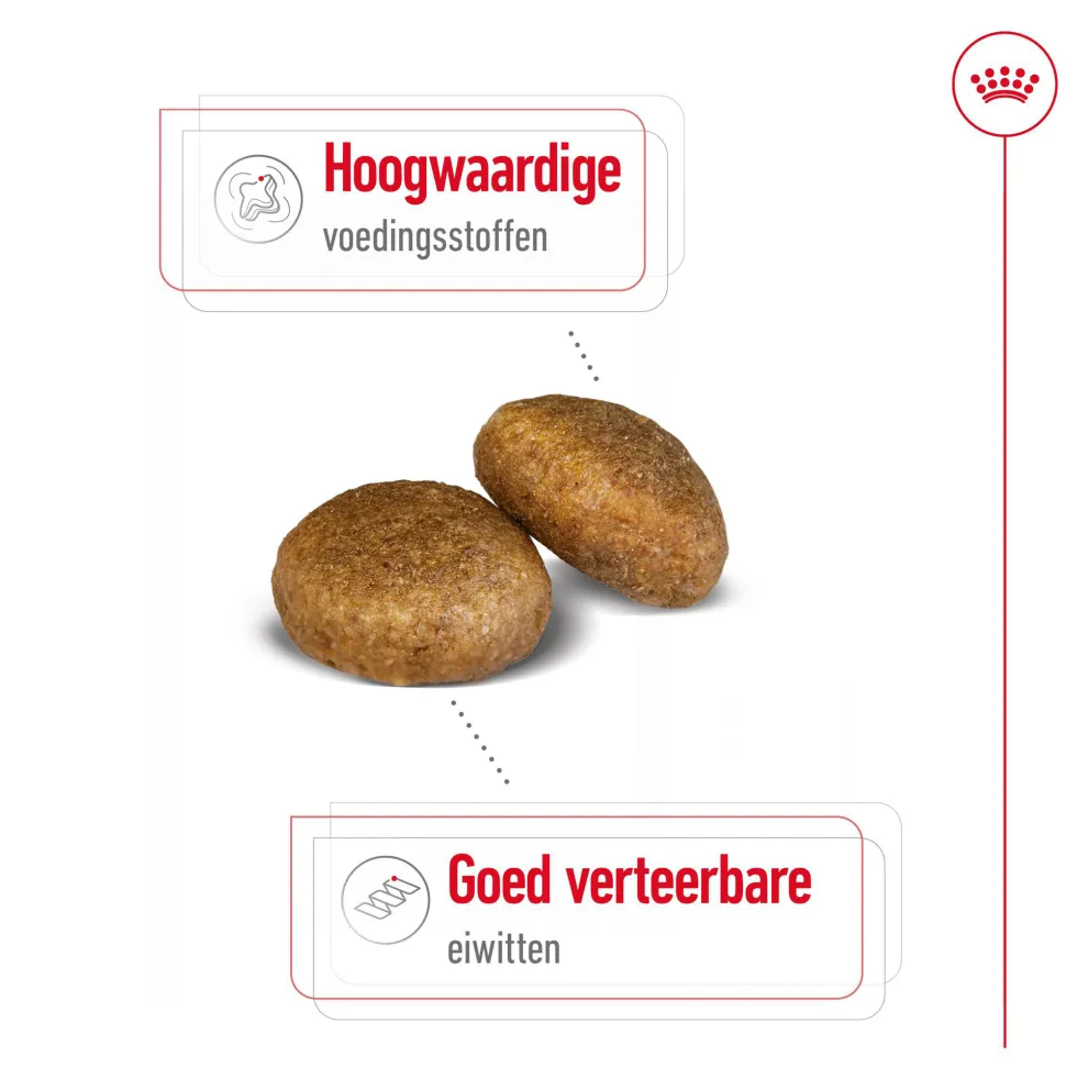 Royal Canin Maxi Adult - Hondenvoer