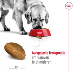 Royal Canin Maxi Adult - Hondenvoer