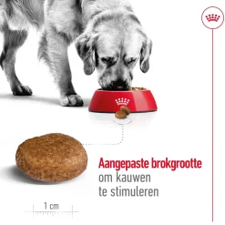 Royal Canin Maxi Adult 5+ - Hondenvoer