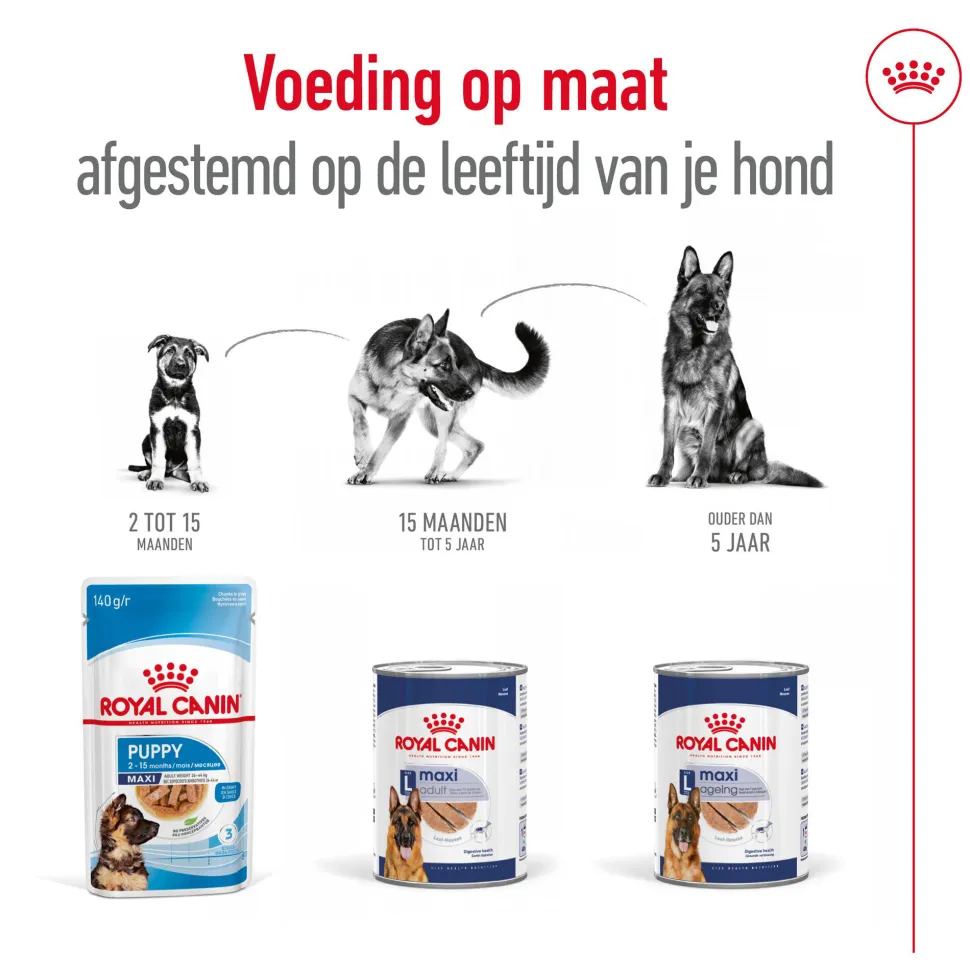Royal Canin Maxi Adult Wet - Blik - Hondenvoer