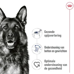 Royal Canin Maxi Adult Wet - Blik - Hondenvoer