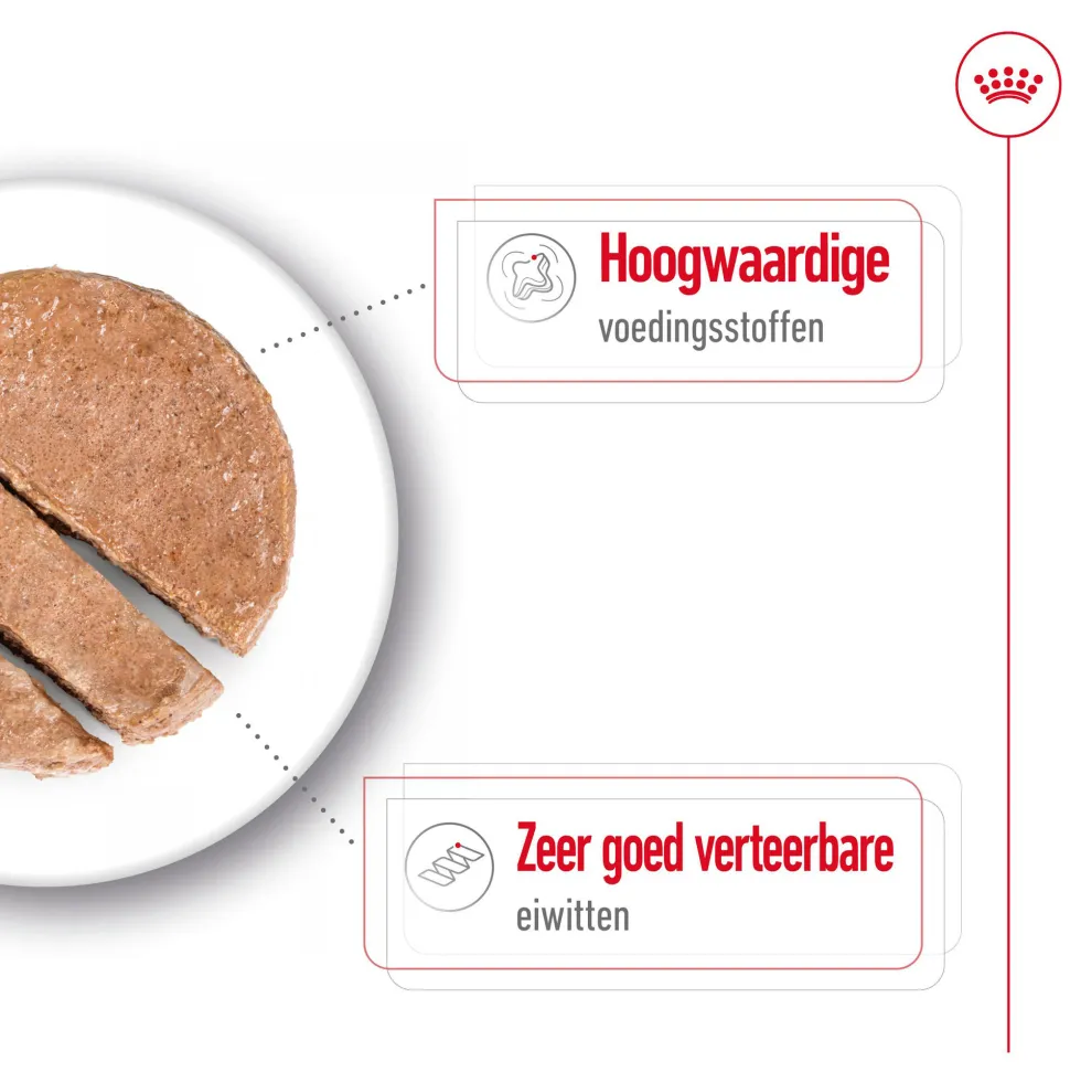 Royal Canin Maxi Adult Wet - Blik - Hondenvoer