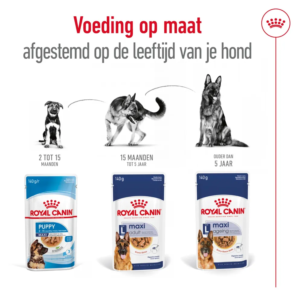 Royal Canin Maxi Adult Wet - Hondenvoer