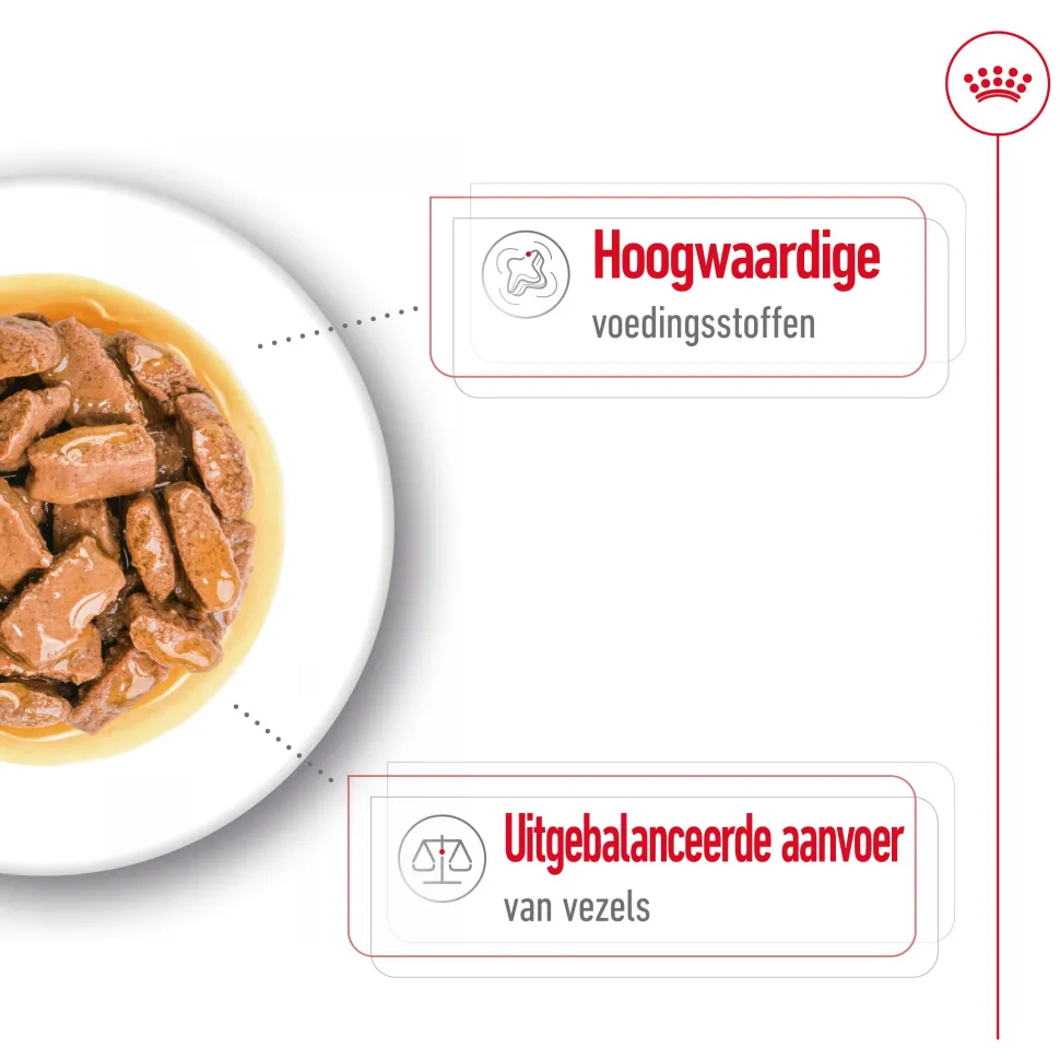 Royal Canin Maxi Adult Wet - Hondenvoer