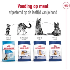 Royal Canin Maxi Ageing 8+ - Hondenvoer