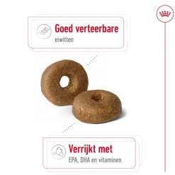 Royal Canin Maxi Ageing 8+ - Hondenvoer