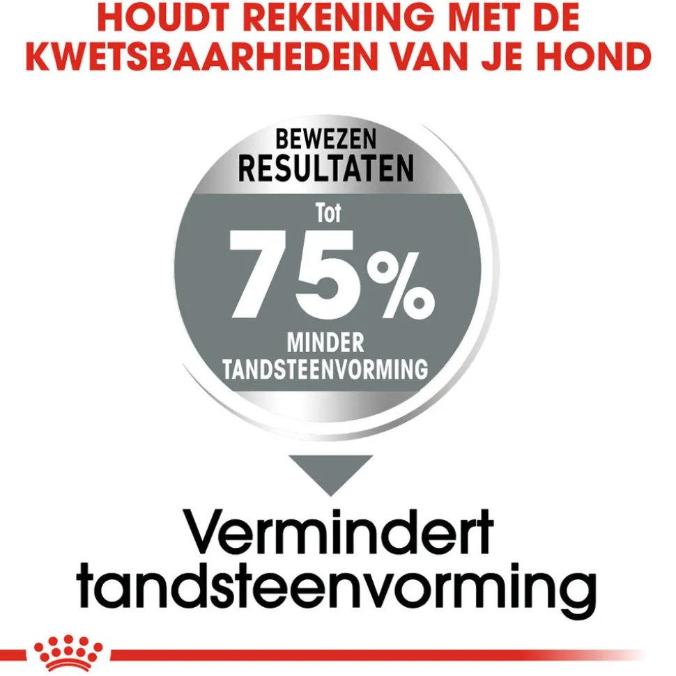 Royal Canin Maxi Dental Care - Hondenvoer