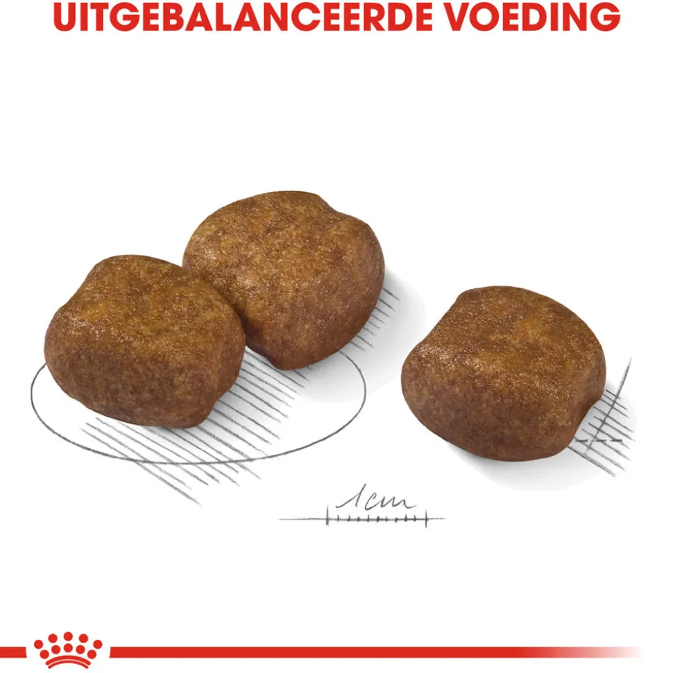 Royal Canin Maxi Dental Care - Hondenvoer