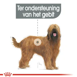 Royal Canin Maxi Dental Care - Hondenvoer