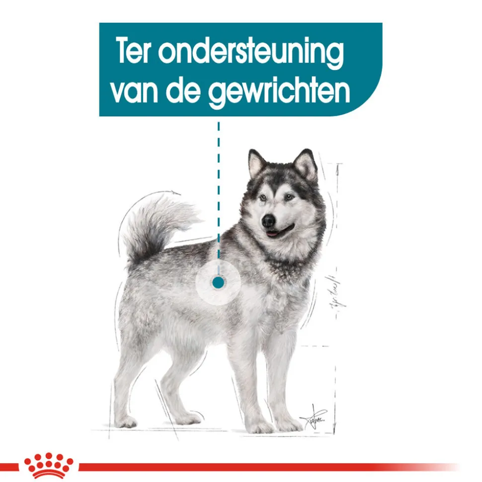 Royal Canin Maxi Joint Care - Hondenvoer