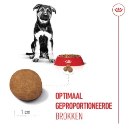 Royal Canin Maxi Puppy - Hondenvoer