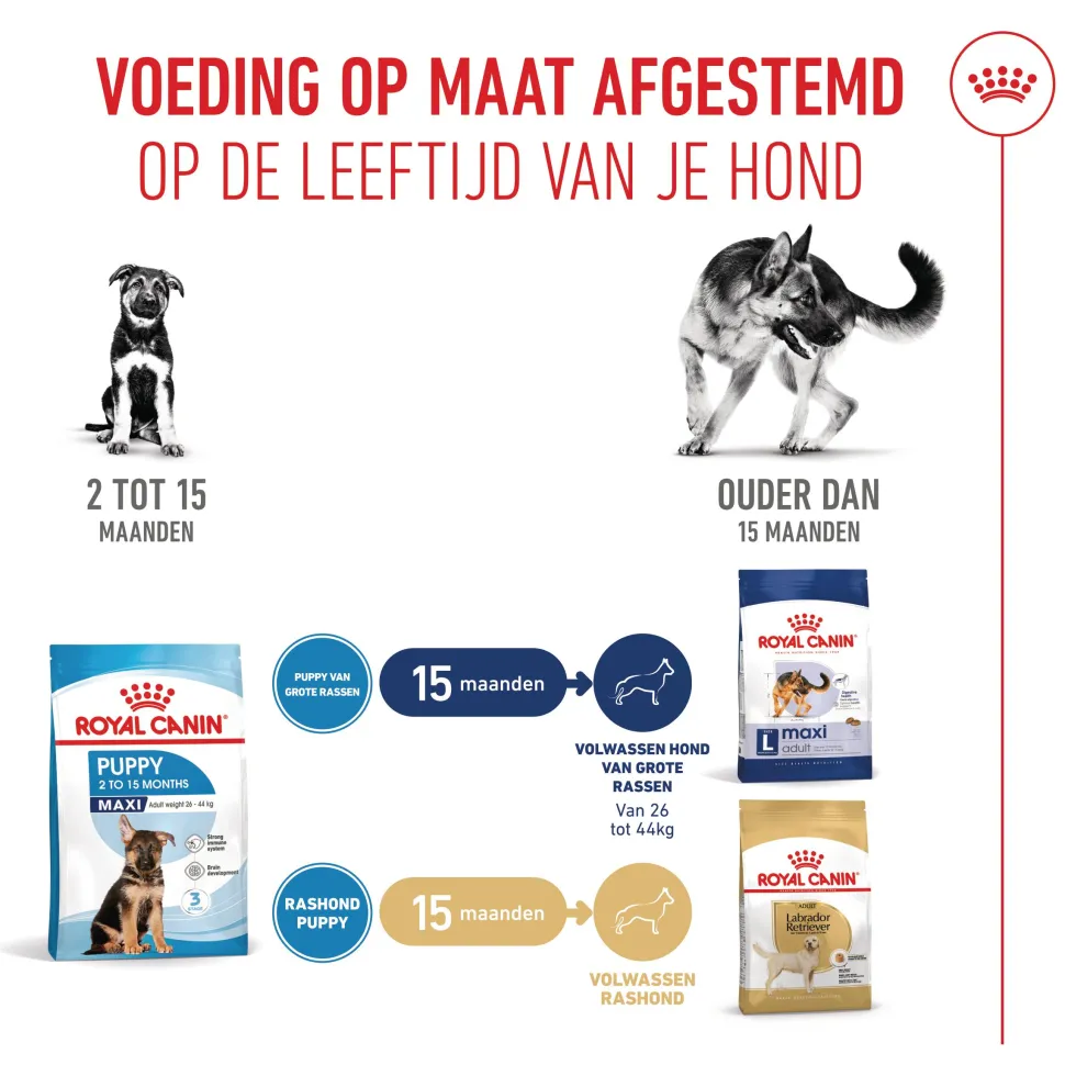 Royal Canin Maxi Puppy - Hondenvoer