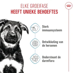 Royal Canin Maxi Puppy - Hondenvoer