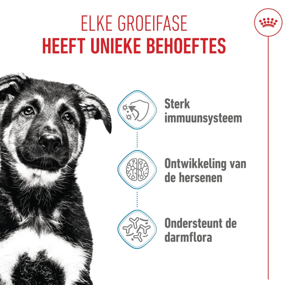 Royal Canin Maxi Puppy - Hondenvoer