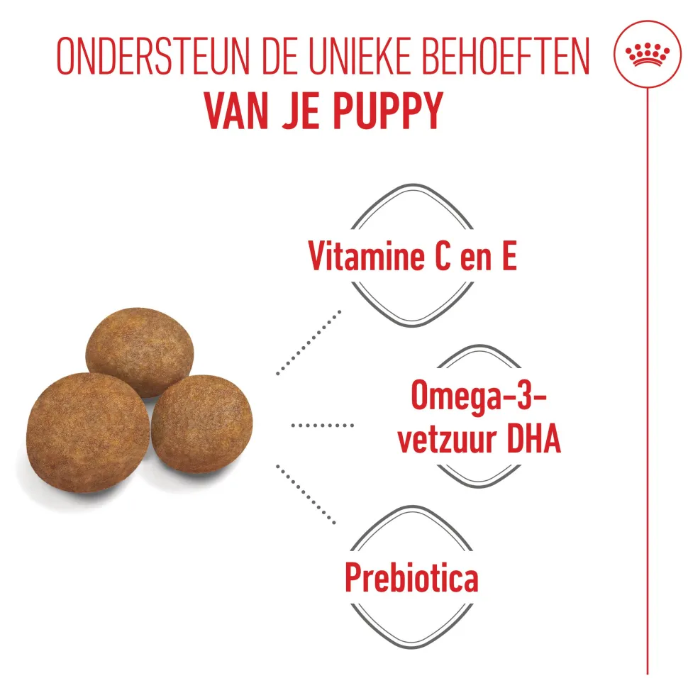 Royal Canin Maxi Puppy - Hondenvoer