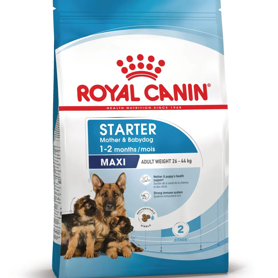 Royal Canin Maxi Starter Mother & Babydog - Hondenvoer