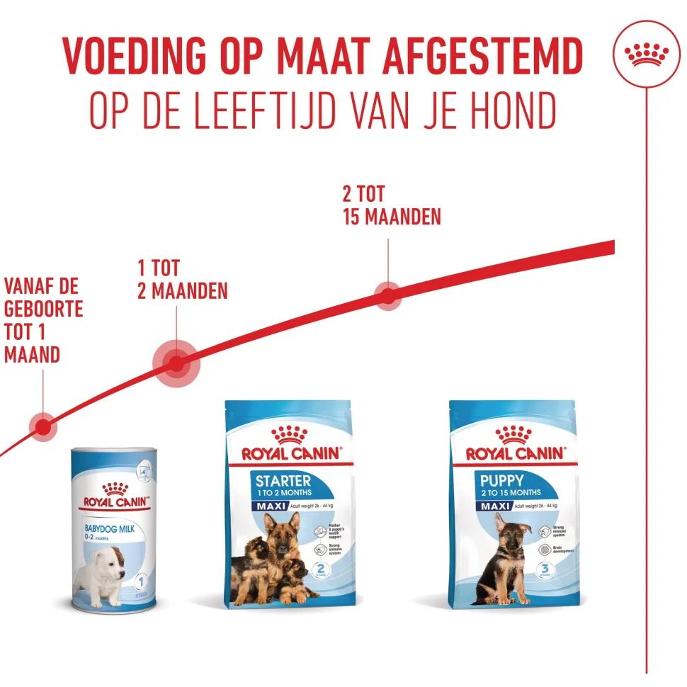 Royal Canin Maxi Starter Mother & Babydog - Hondenvoer