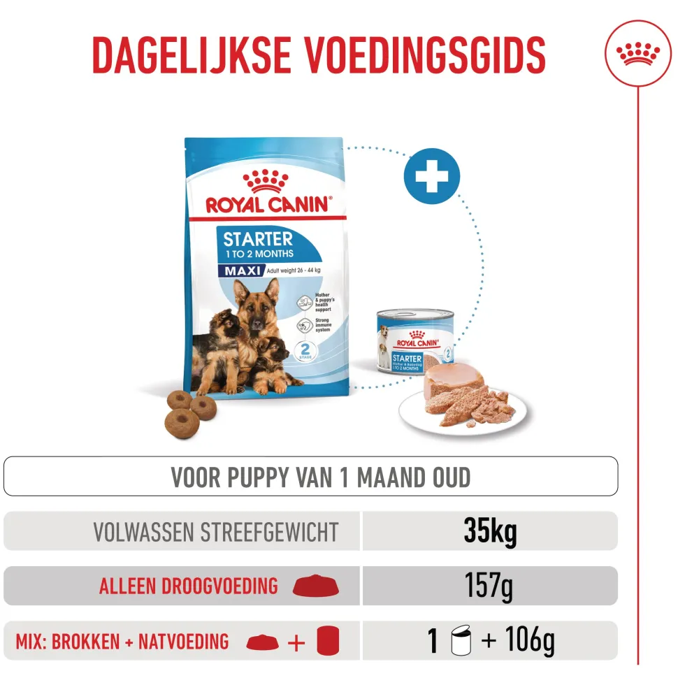 Royal Canin Maxi Starter Mother & Babydog - Hondenvoer