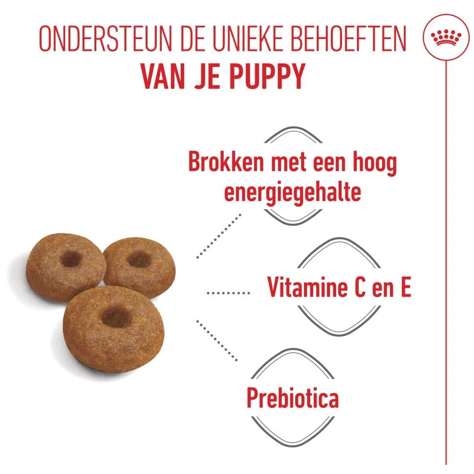 Royal Canin Maxi Starter Mother & Babydog - Hondenvoer