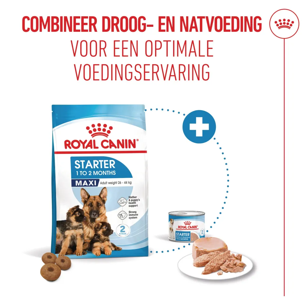 Royal Canin Maxi Starter Mother & Babydog - Hondenvoer