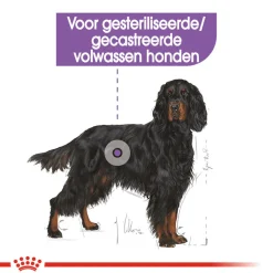 Royal Canin Maxi Sterilised - Hondenvoer