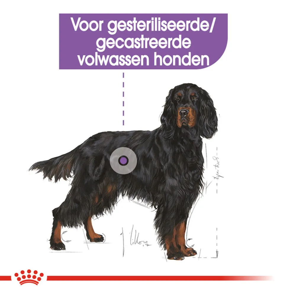 Royal Canin Maxi Sterilised - Hondenvoer