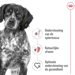 Royal Canin Medium Adult - Hondenvoer