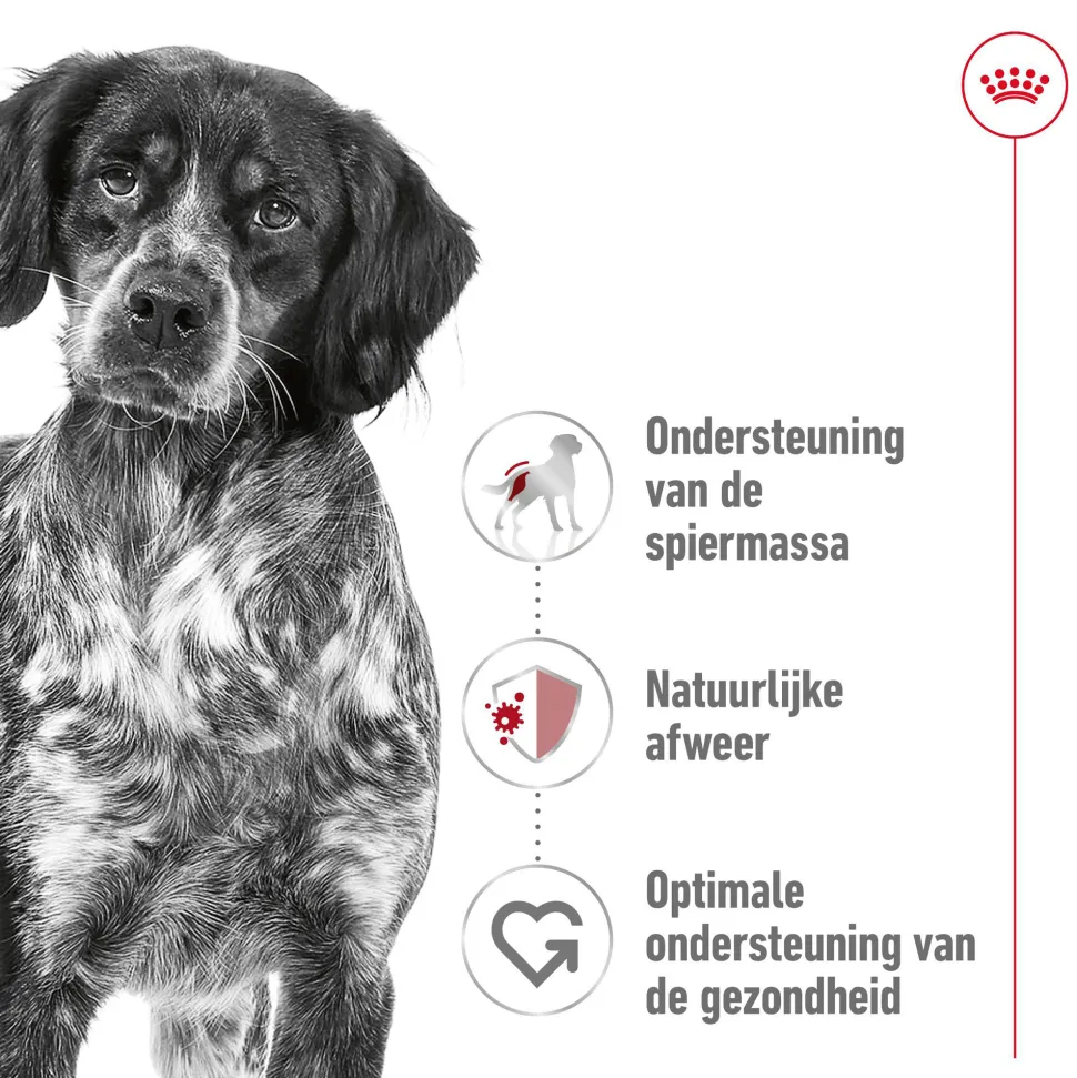 Royal Canin Medium Adult 7+ - Hondenvoer