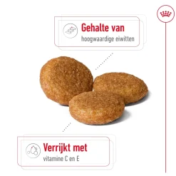 Royal Canin Medium Adult 7+ - Hondenvoer
