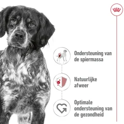 Royal Canin Medium Adult Wet - Blik - Hondenvoer