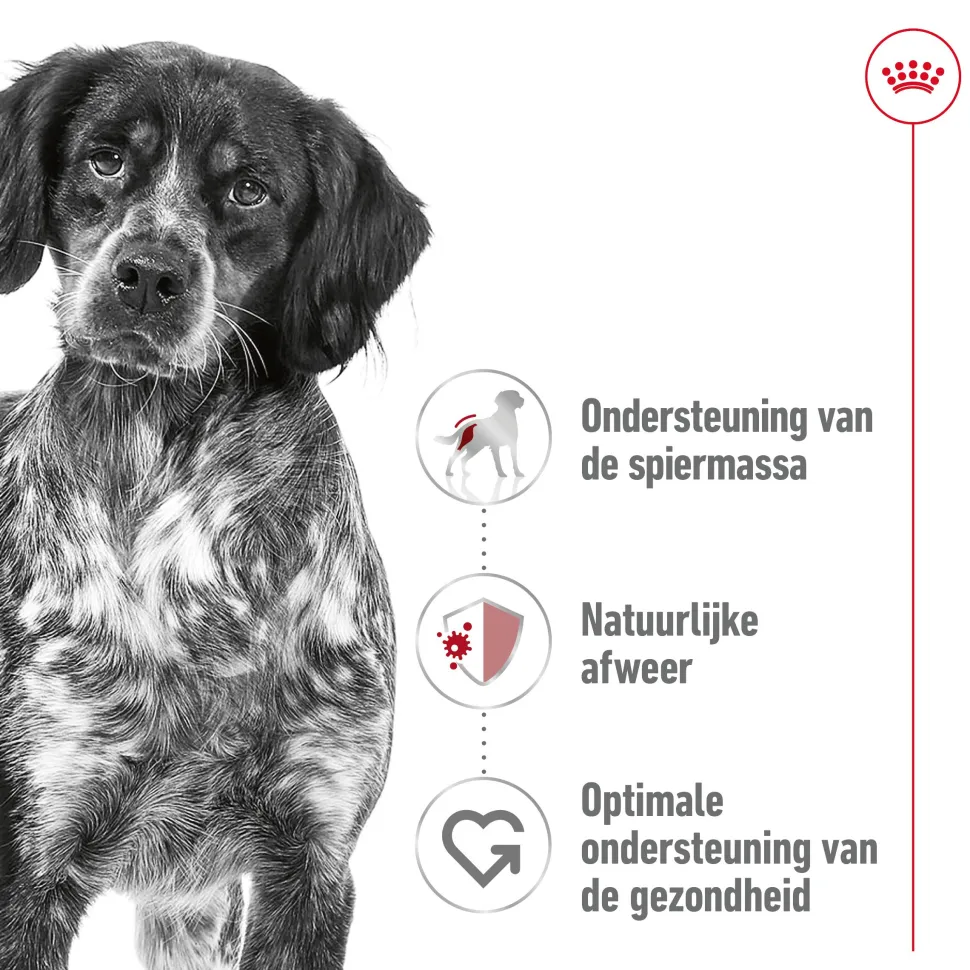 Royal Canin Medium Adult Wet - Hondenvoer