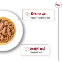 Royal Canin Medium Adult Wet - Hondenvoer