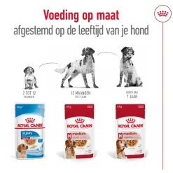 Royal Canin Medium Adult Wet - Hondenvoer