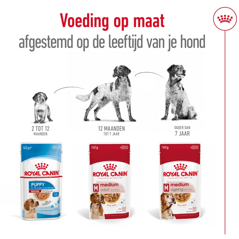 Royal Canin Medium Adult Wet - Hondenvoer