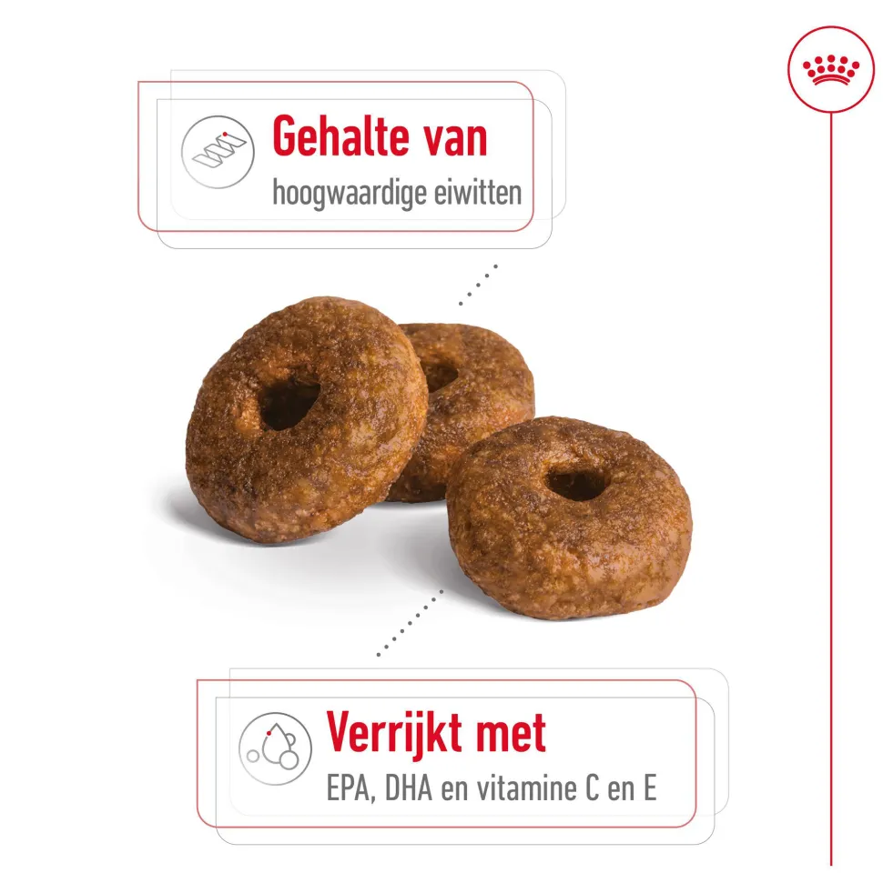 Royal Canin Medium Ageing 10+ - Hondenvoer