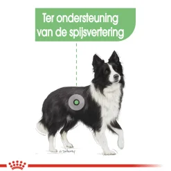 Royal Canin Medium Digestive Care - Hondenvoer