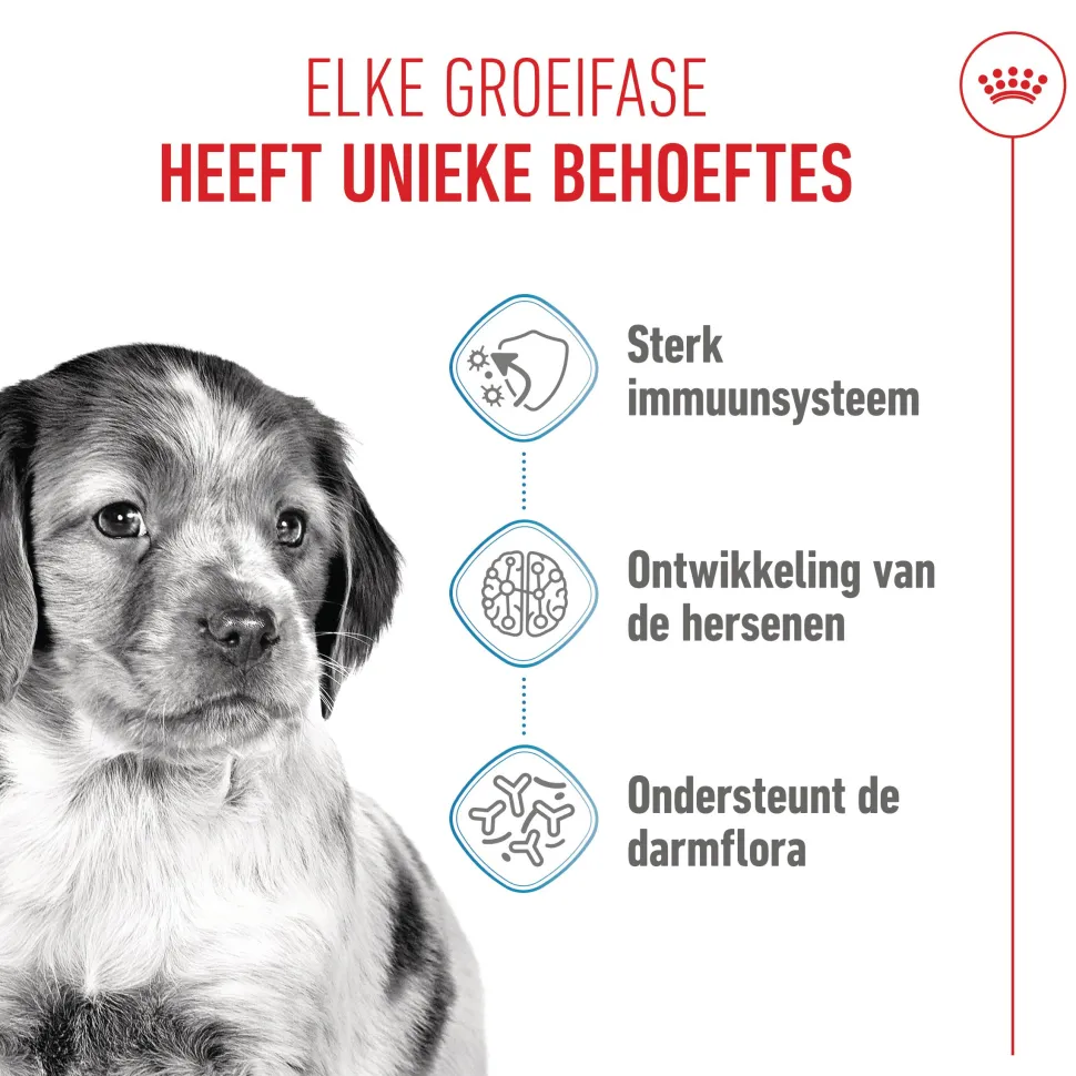 Royal Canin Medium Puppy - Hondenvoer