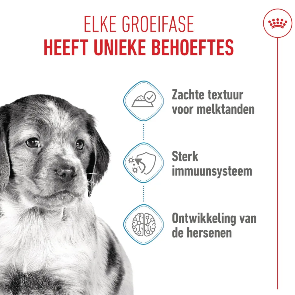 Royal Canin Medium Puppy Wet