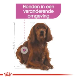 Royal Canin Medium Relax Care - Hondenvoer