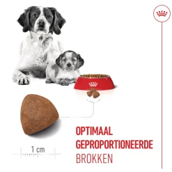 Royal Canin Medium Starter Mother & Babydog - Hondenvoer
