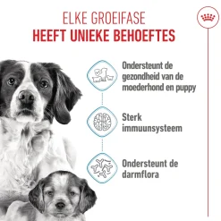 Royal Canin Medium Starter Mother & Babydog - Hondenvoer