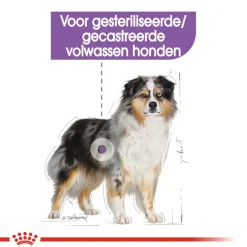 Royal Canin Medium Sterilised - Hondenvoer