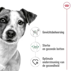 Royal Canin Mini Adult - Hondenvoer