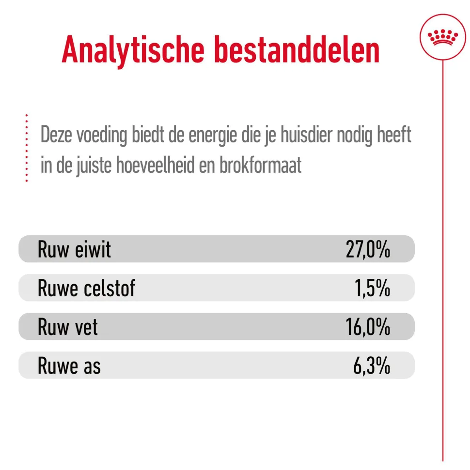 Royal Canin Mini Adult 8+ - Hondenvoer