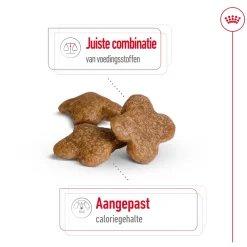 Royal Canin Mini Adult 8+ - Hondenvoer