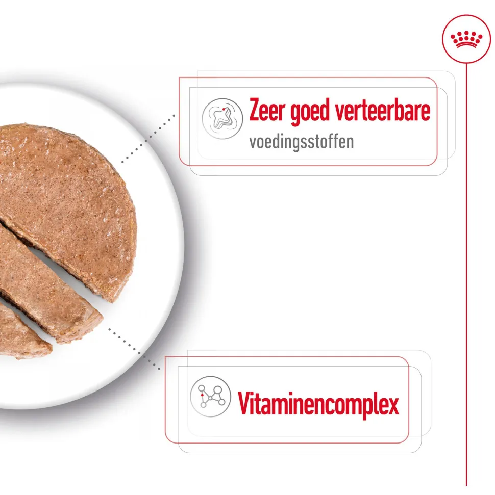 Royal Canin Mini Adult Wet - Blik - Hondenvoer