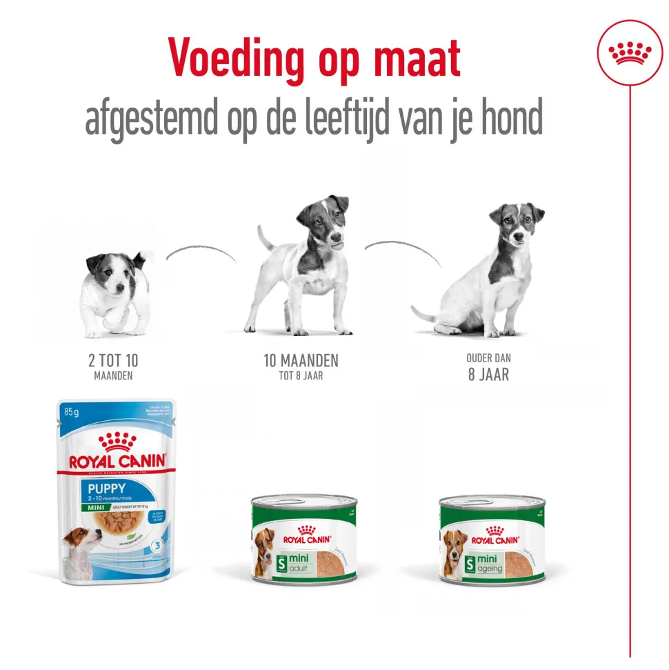Royal Canin Mini Adult Wet - Blik - Hondenvoer