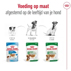 Royal Canin Mini Adult Wet - Hondenvoer