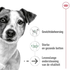 Royal Canin Mini Ageing 8+ Wet - Hondenvoer